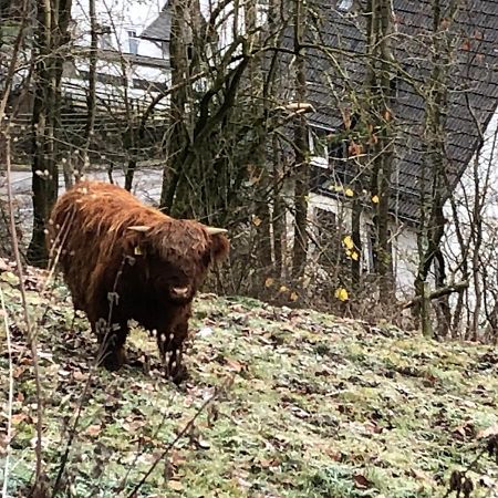 Ferienwohnung Koelbel Familienurlaub In Der Natur Schmallenberg Buitenkant foto