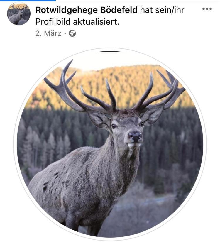 Ferienwohnung Koelbel Familienurlaub In Der Natur Schmallenberg Buitenkant foto